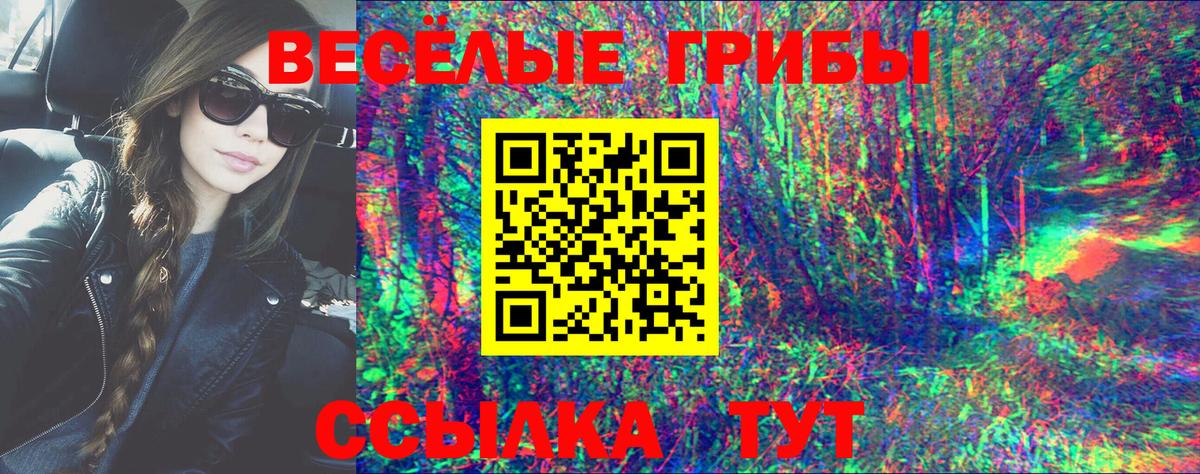 Псилоцибиновые грибы мицелий Томск