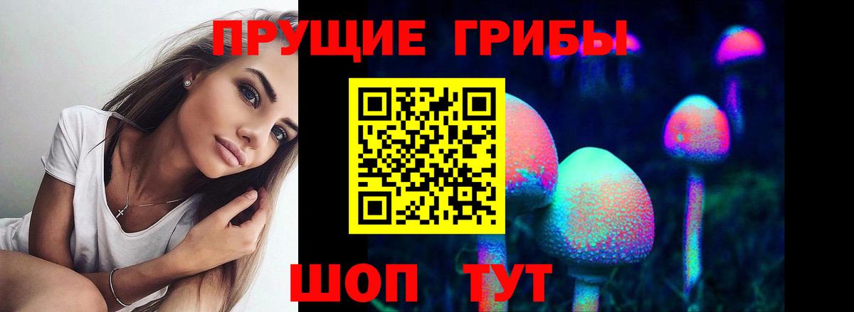 Томск  Галлюциногенные грибы MAGIC MUSHROOMS  Вход с VPN  Галлюциногенные грибы Magic Shrooms 